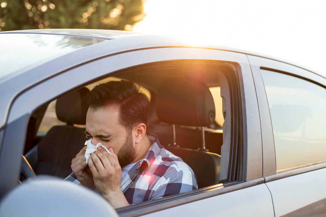 Conduzir com alergias: dicas para aliviar os sintomas ao volante