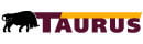 Pneus TAURUS