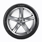 pneus-10609285-30x19-pirel-pzeros-98y-xl